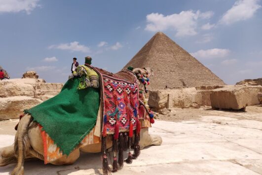 Egipat Letovanje Olimpturs